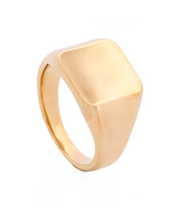 Stainless Steel Ion 14ct Gold Plated Polished Signet Ring