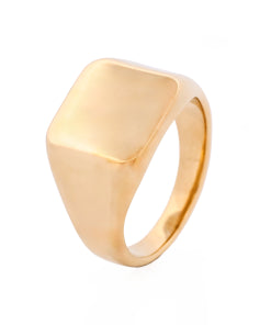 Stainless Steel Ion 14ct Gold Plated Polished Signet Ring